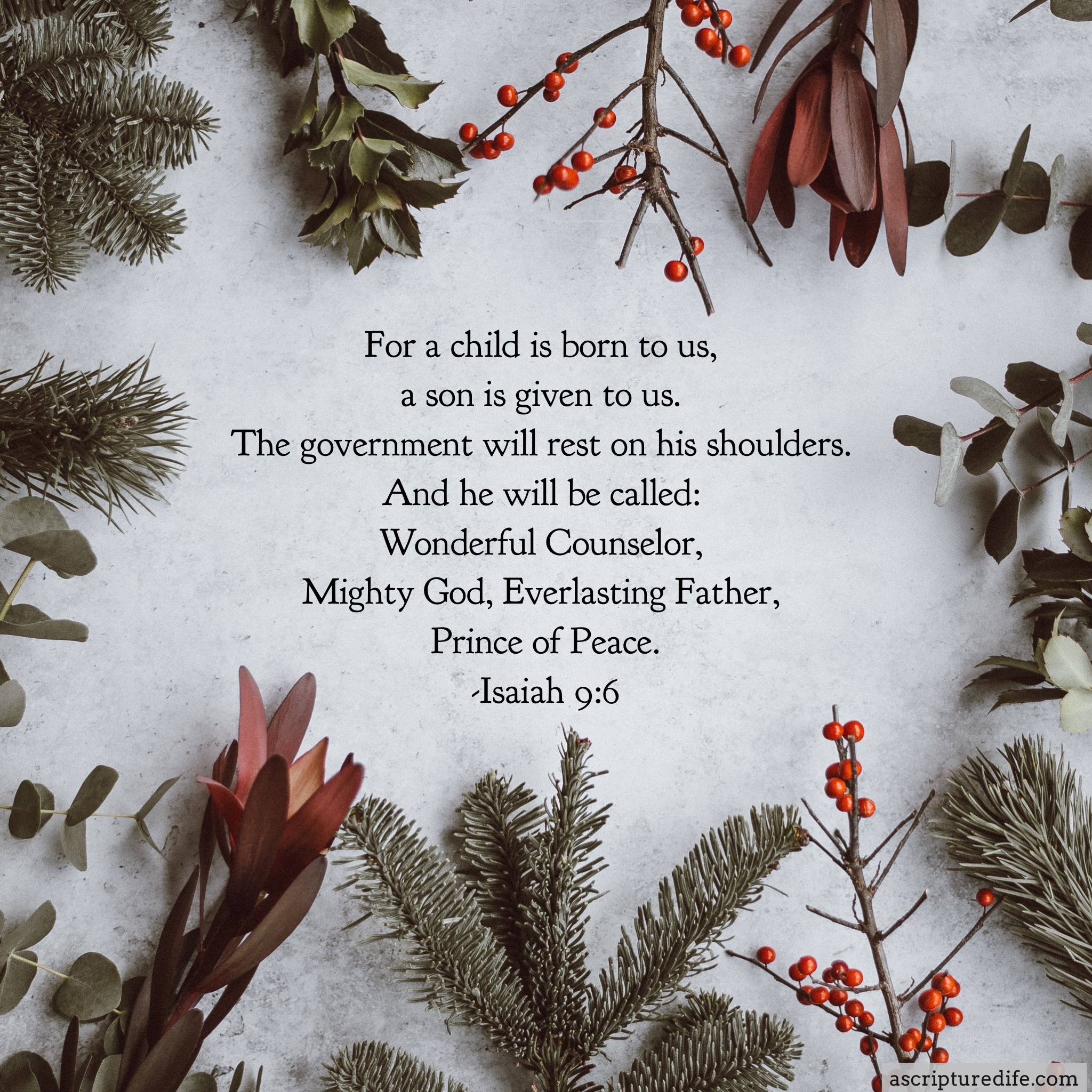 25 Christmas Bible Verses To Usher In Peace And Joy - A Scriptured Life