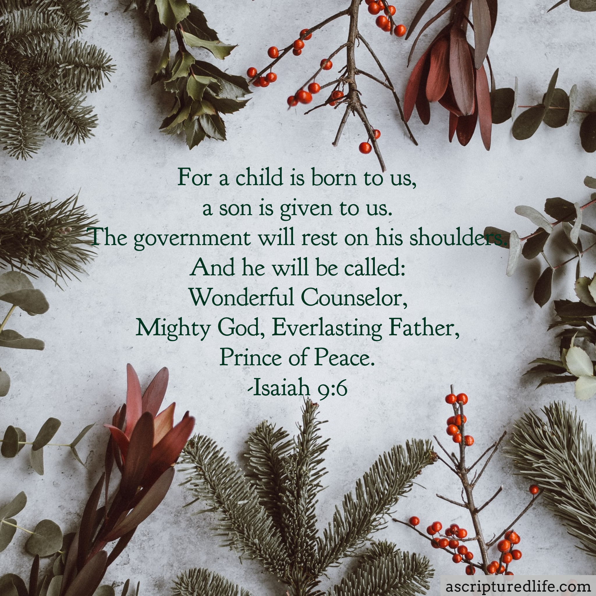 25 Christmas Bible Verses To Usher In Peace And Joy - A Scriptured Life