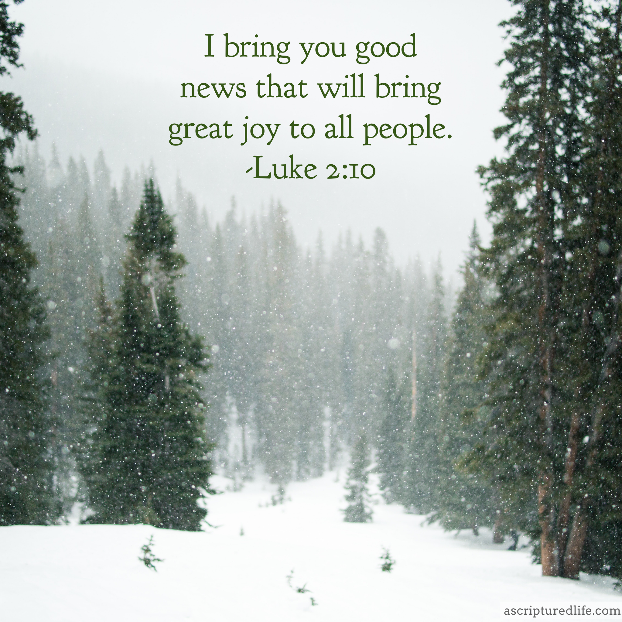 25 Christmas Bible Verses To Usher In Peace And Joy - A Scriptured Life